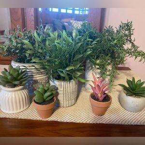 Assortment artificial plants